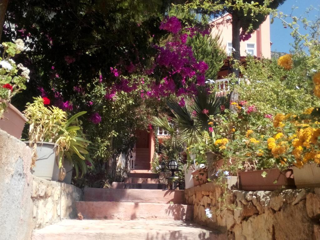 Villa Koknar Pension Каш Стая снимка