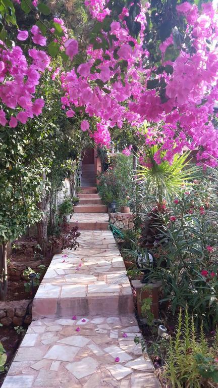 Villa Koknar Pension Каш Екстериор снимка